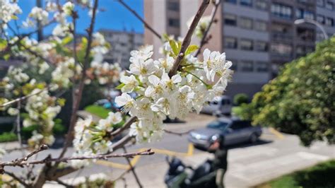 El Tiempo En Vigo Mi Rcoles De Abril