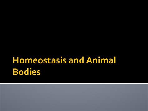 Homeostasis and Animal Bodies What is homeostasis Processes