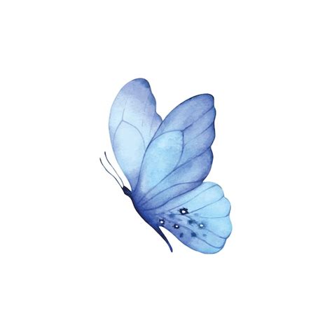 Premium Vector Butterfly Watercolor Soft Watercolour Poster Print