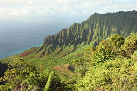 Kalalau Valley Lookout Kauai Photograph By Photo75 Fine Art America