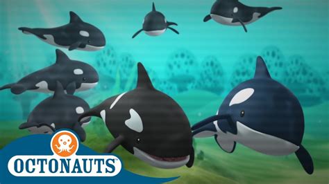 Octonauts Ghost Whale