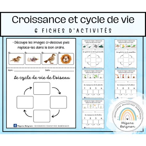 Cycle De Vie Et Croissance Printemps