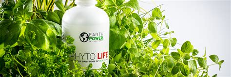 Phyto Life