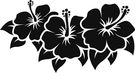 Hibiscus Flower Silhouette Stock Illustration Download Image Now Istock