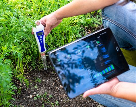 Controlul Gradului De Fertilitate I Analizele De Sol Agrimasat Ro