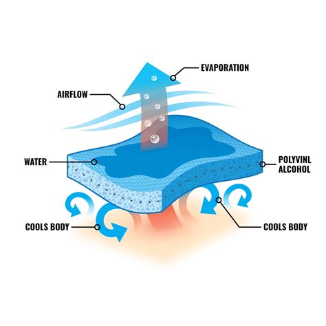 Chill Its 6717CT Evaporative Cooling Hard Hat Liner Pad And Neck Shade