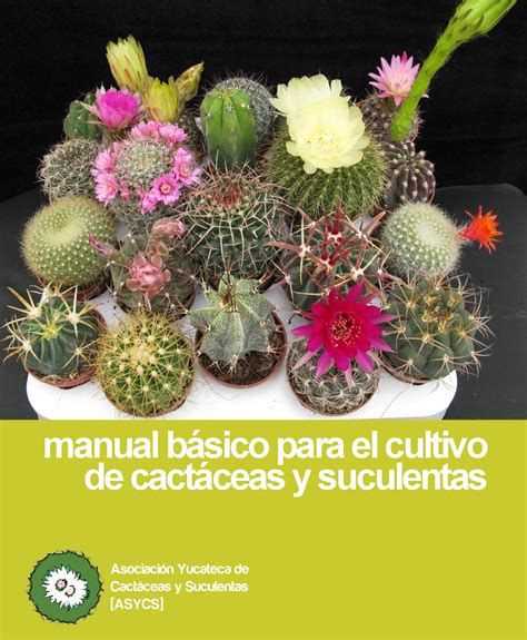 Manual Básico Para El Cultivo De Cactáceas Y Suculentas By Debora