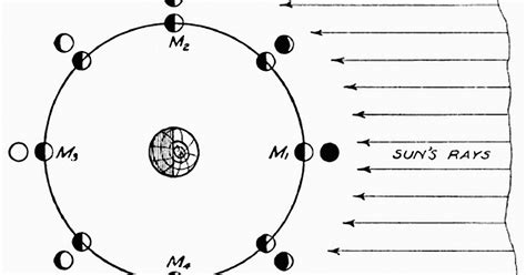 Lalaith S Middle Earth Science Pages Friday 26 May A Starry