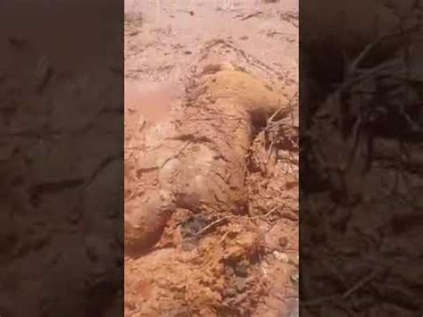 CORPO É ENCONTRADO NO MEIO DA LAMA EM BRUMADINHO CENAS FORTES YouTube