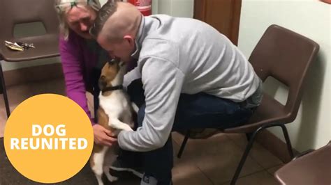 Heartwarming Moment A Dog Is Reunited With Her Owner Three Years Youtube