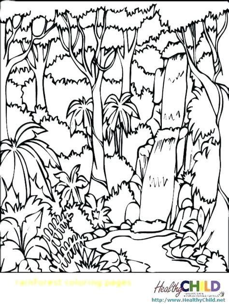 Tropical Rainforest Coloring Pages at GetColorings.com | Free printable colorings pages to print ...