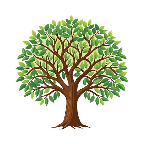 Beautiful Single Big Tree Illustration 47613223 Vector Art at Vecteezy