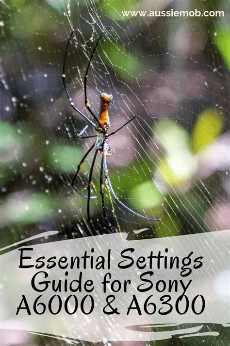 Essential Settings Guide for Sony A6000 & A6300 | Aussie Mob