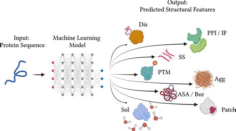 Ten Hacks For Predicting Protein Properties From Sequences Using Machine Learning Cbirt