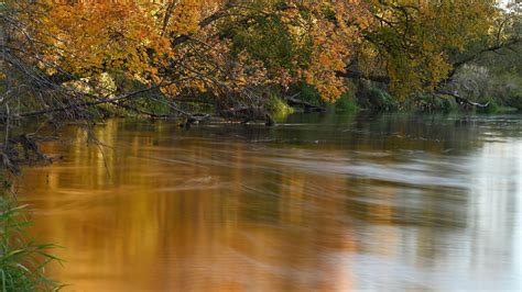 The Golden River — Reflections on Beauty