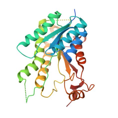 Rcsb Pdb Jq Crystal Structure Of Pteridine Reductase Ptr From