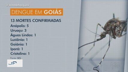 Goiás confirma 13 mortes por dengue em 2024 Goiás G1