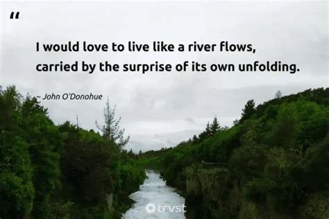 58 River Quotes to Navigate Life’s Currents and Meanders (2024)