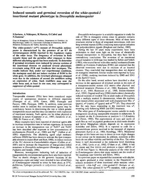 Induced Somatic And Germinal Reversion Of The White Spotted