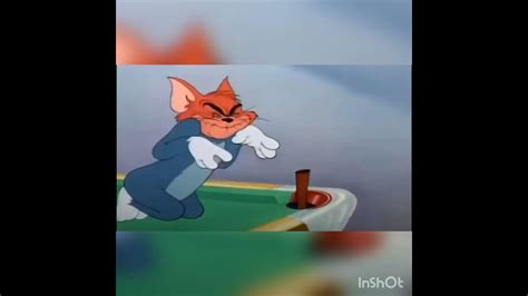 Tom And Jerry Scream Compilation Youtube