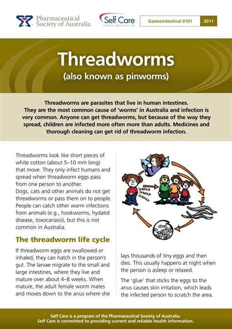 Threadworm Magazines