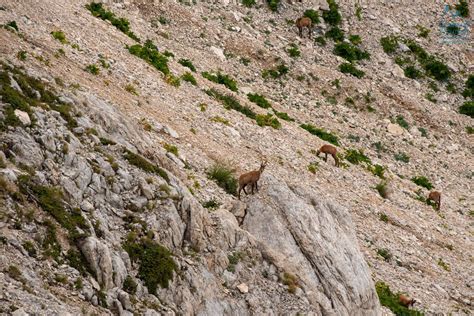 Notturna Al Corno Grande Gran Sasso