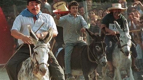 Todos los burros de Galicia a Escairón Faro de Vigo