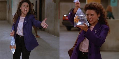 Seinfeld: Elaine's 5 Best Outfits (& 5 Worst)