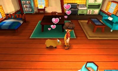 Story Of Seasons Trio Of Towns Screenshots And Art Show Pets