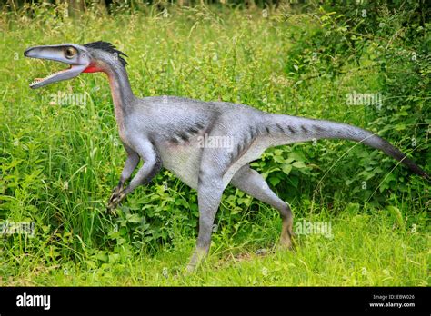 Walking With Dinosaurs Hi Res Stock Photography And Images Alamy