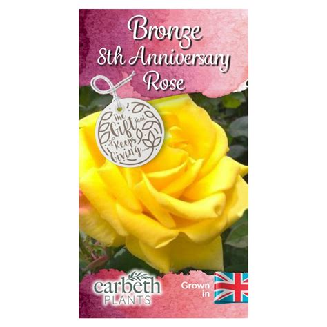 Bronze Th Wedding Anniversary Rose Bush Gift Willows Living Gifts