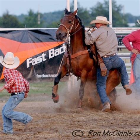 Calf roping | Calf roping, Team roping, Rodeo cowboys