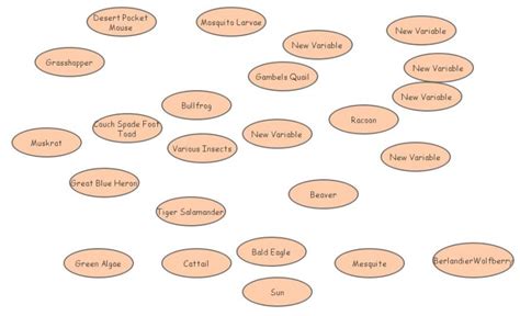 Food Chain Insight Maker