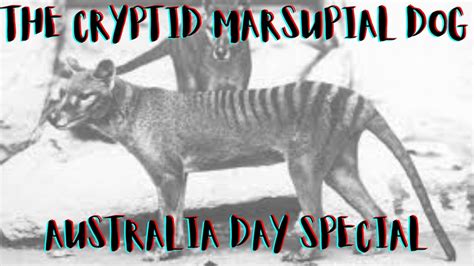 The Tasmanian Tiger The Cryptid Thats Being Brought Back From The