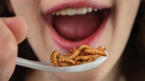 10 Most Disgusting Foods In The World Youtube