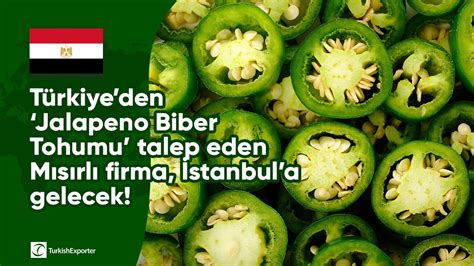 T Rkiyeden Jalapeno Biber Tohumu Talep Eden M S Rl Firma Stanbul