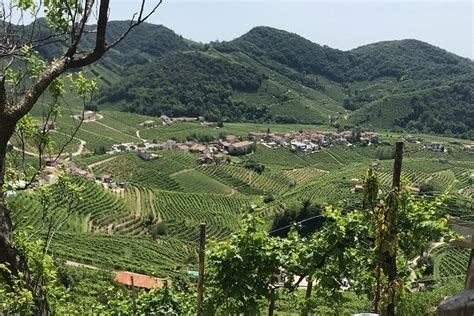 Private Full Day Prosecco Wine Tour From Venice