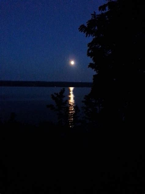 Camp Whitman Experience