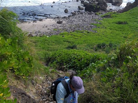 Discover Saipan (2026) - All You Need to Know BEFORE You Go (with Reviews)