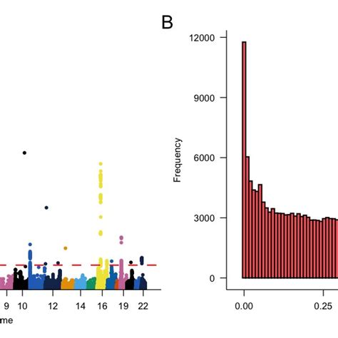 Characteristics Of The Sle Gwas Data A Manhattan Plot Genome Wide