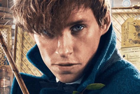 Newt Scamander Character Guide Wizards Welcome