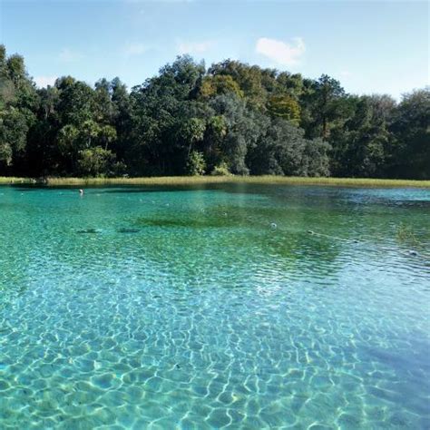 Rainbow Springs State Park in Dunnellon, FL (Google Maps)