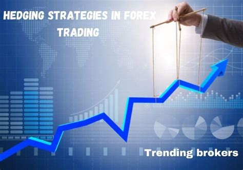 What Arehedging Strategies In Forex Trading Best Guide 2023