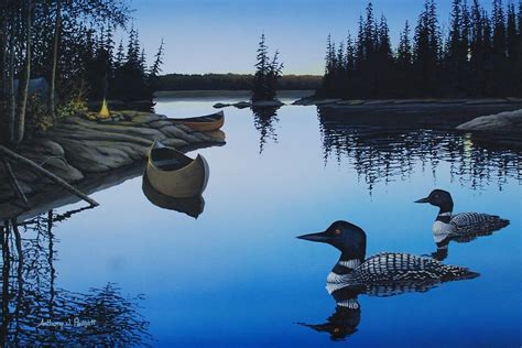 Evening Loons Painting By Anthony J Padgett Fine Art America