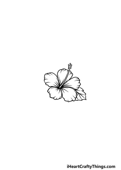 Hawaiian Flower Drawing - How To Draw A Hawaiian Flower Step By Step