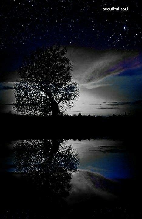 A Lone Tree Is Reflected In The Water At Night