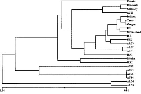 Upgma Phenogram Based On Nei S Genetic Distance Among M