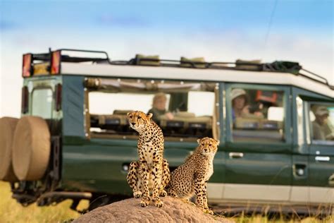 Tripadvisor 3 tägige private Flugsafari in der Serengeti und im