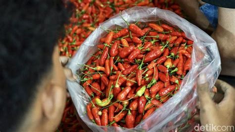 Viral Harga Cabai Rawit Tembus Rp 450 Ribu Kg Badan Pangan Buka Suara