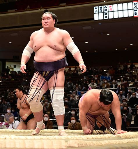 朝乃山が小結照ノ富士に3連敗 上手投げで転がされ 大相撲写真ニュース 日刊スポーツ